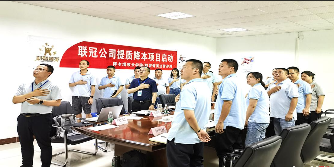 聯(lián)冠公司提質(zhì)降本項目